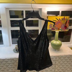 Banana Republic Sequin Crop Top